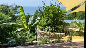 A tropical garden with various plants and a view of the ocean. - Casa Jasmin Troncones (Troncones)