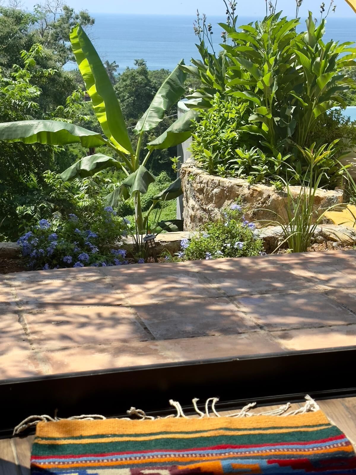 A view from a window overlooking a garden with various plants and a stone wall.