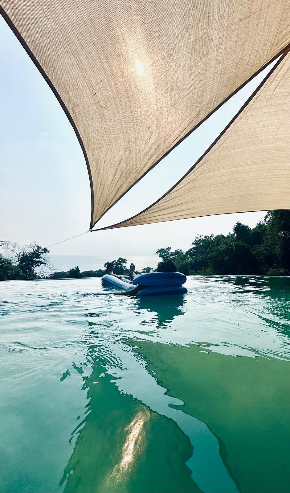 Une étendue d’eau dont la surface est partiellement couverte par une végétation qui offre de l’ombre.
