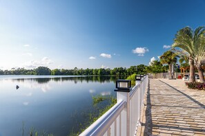 Property grounds - Stunning Lakefront Solar Heated Pool & Spa House! Close to the Beach! (Bonita Springs)