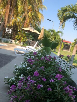 A garden area with a white lounge chair, a palm tree, and a street lamp. - Charming 2-bedroom house with WiFi, AC in adorable Las Isletas (Las Isletas)