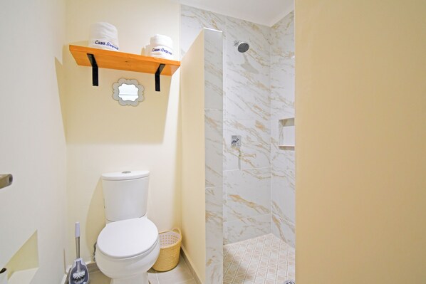 Een badkamer met een toilet, een douche en een plank met twee rolletjes toiletpapier.