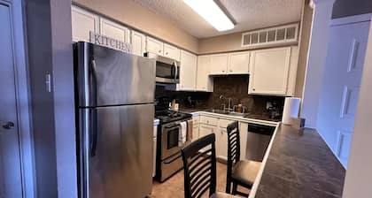 Cozy 1-bedroom condo with WiFi in Houston, TX