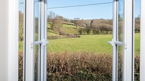 Vista a través de una ventana que muestra un campo cubierto de hierba, un muro de piedra y árboles al fondo.