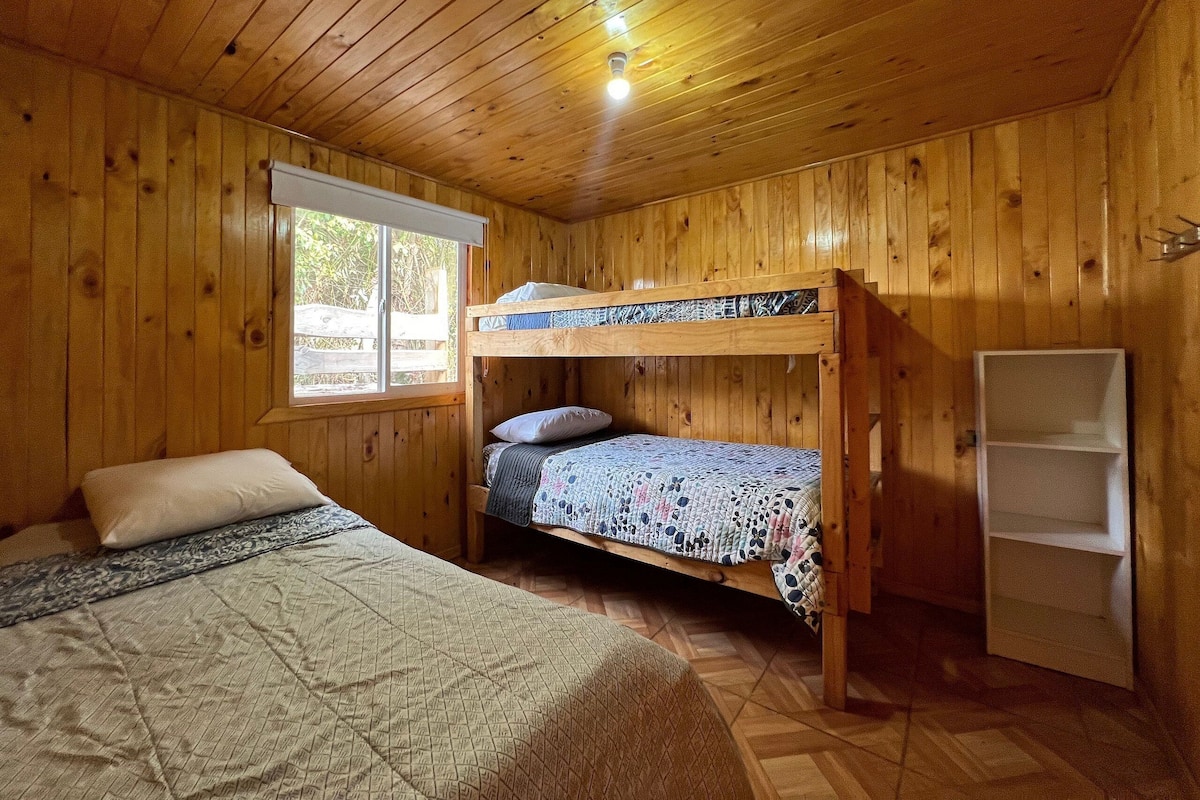 A wooden cabin bedroom with bunk beds, a window, and a built-in bookshelf.