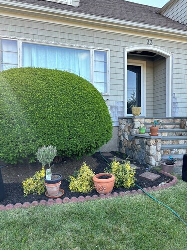 Experience Classic Charm in a Cozy 115-Year-Old Colonial