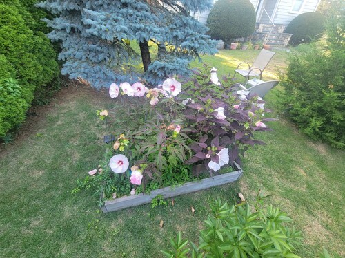 Experience Classic Charm in a Cozy 115-Year-Old Colonial