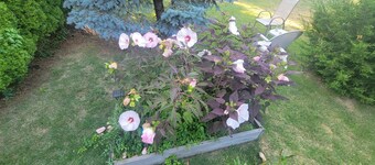 Experience Classic Charm in a Cozy 115-Year-Old Colonial