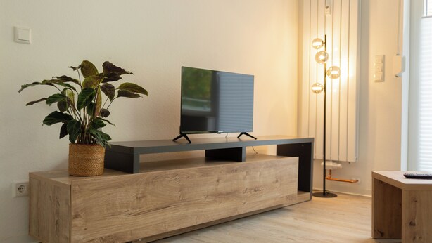 A modern living room with a wooden console table, a flat-screen TV, and a potted plant. - BEST STAY: CITYAPPARTMENT in Hünfeld, WLAN, SmartTV, balcony, central & quiet (Hünfeld)