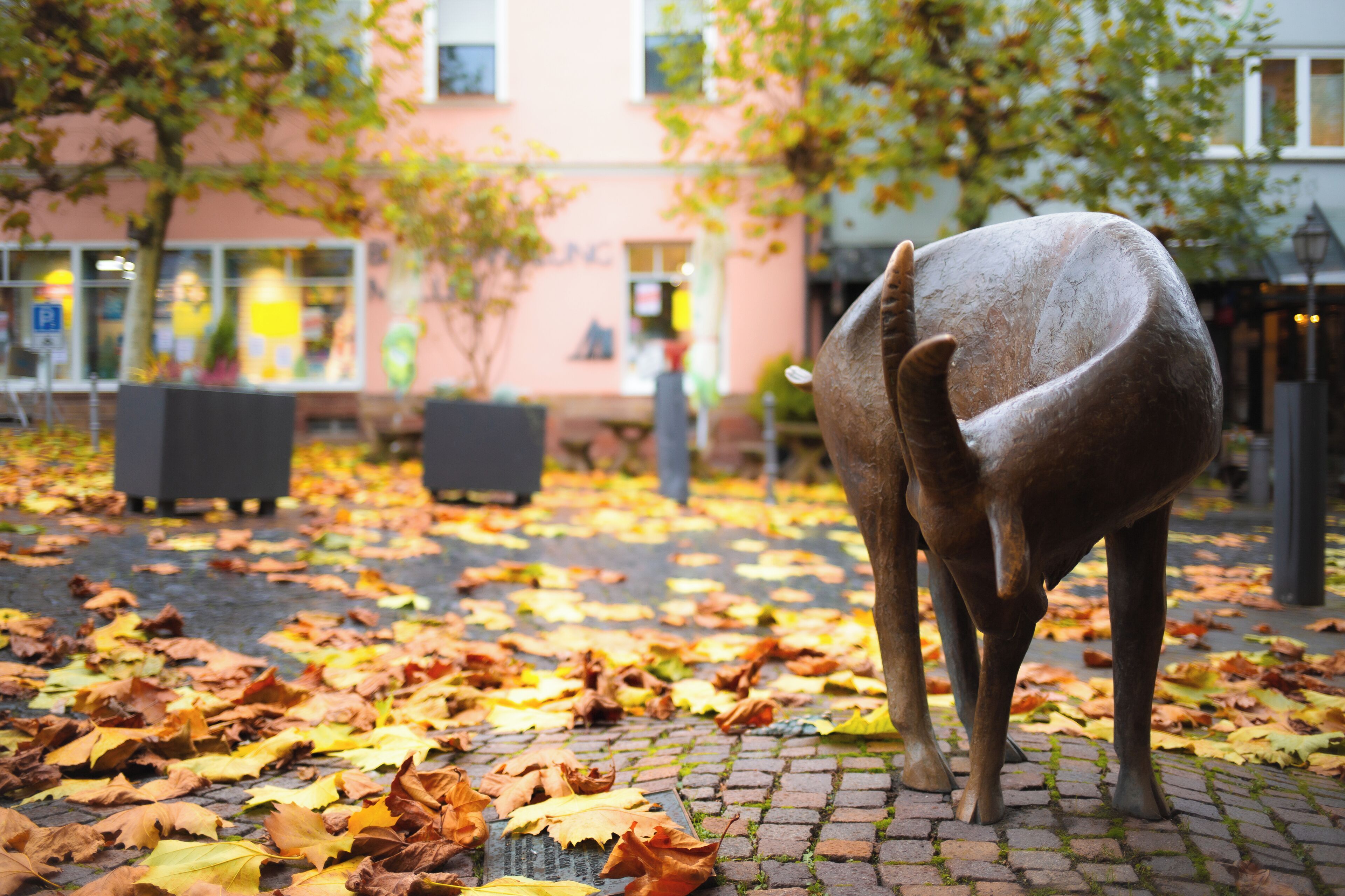 A sculpture of a cow in a public space with fallen leaves on the ground.