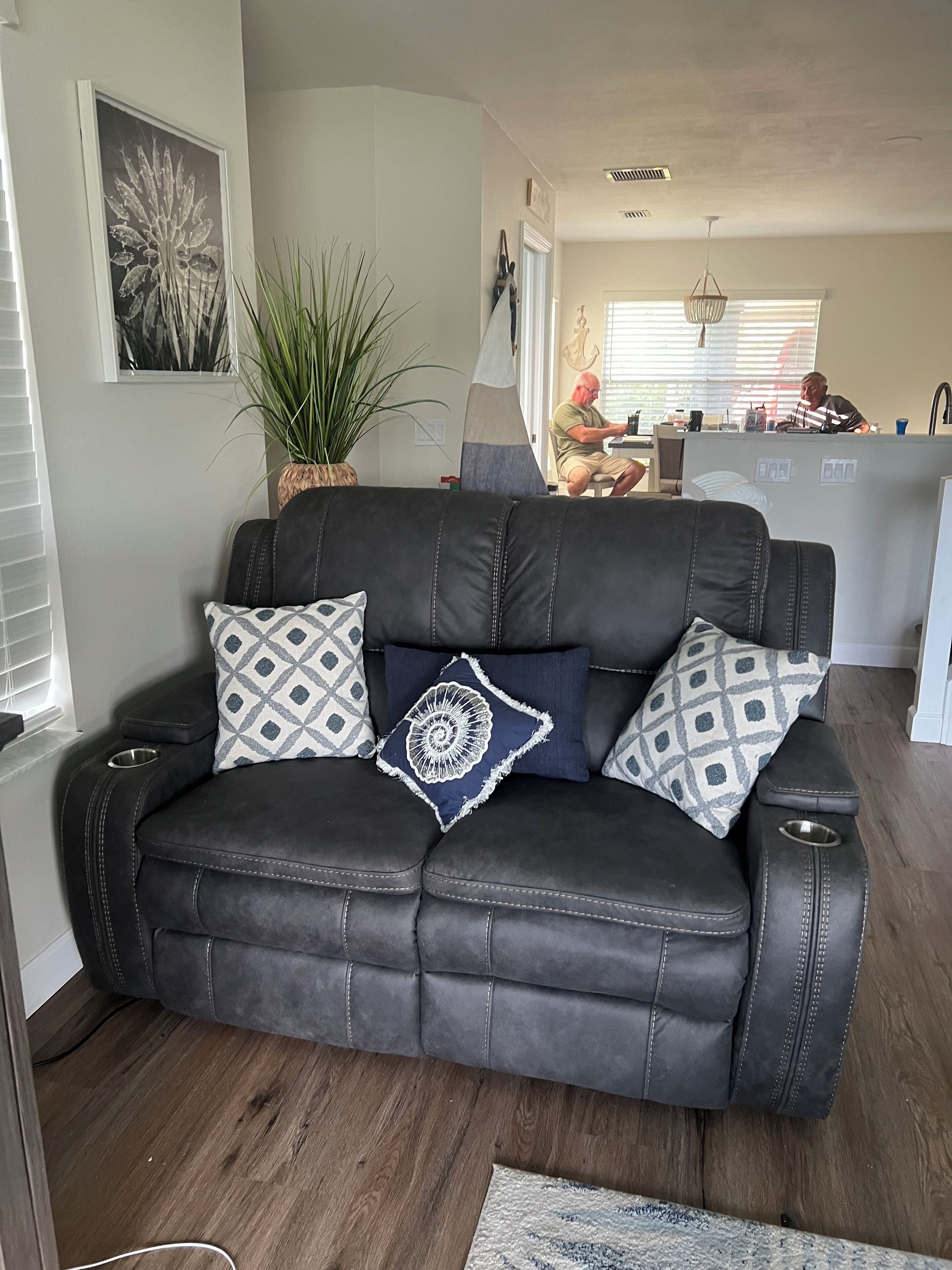 A dark leather sofa with patterned cushions, a potted plant, and a framed artwork on the wall.