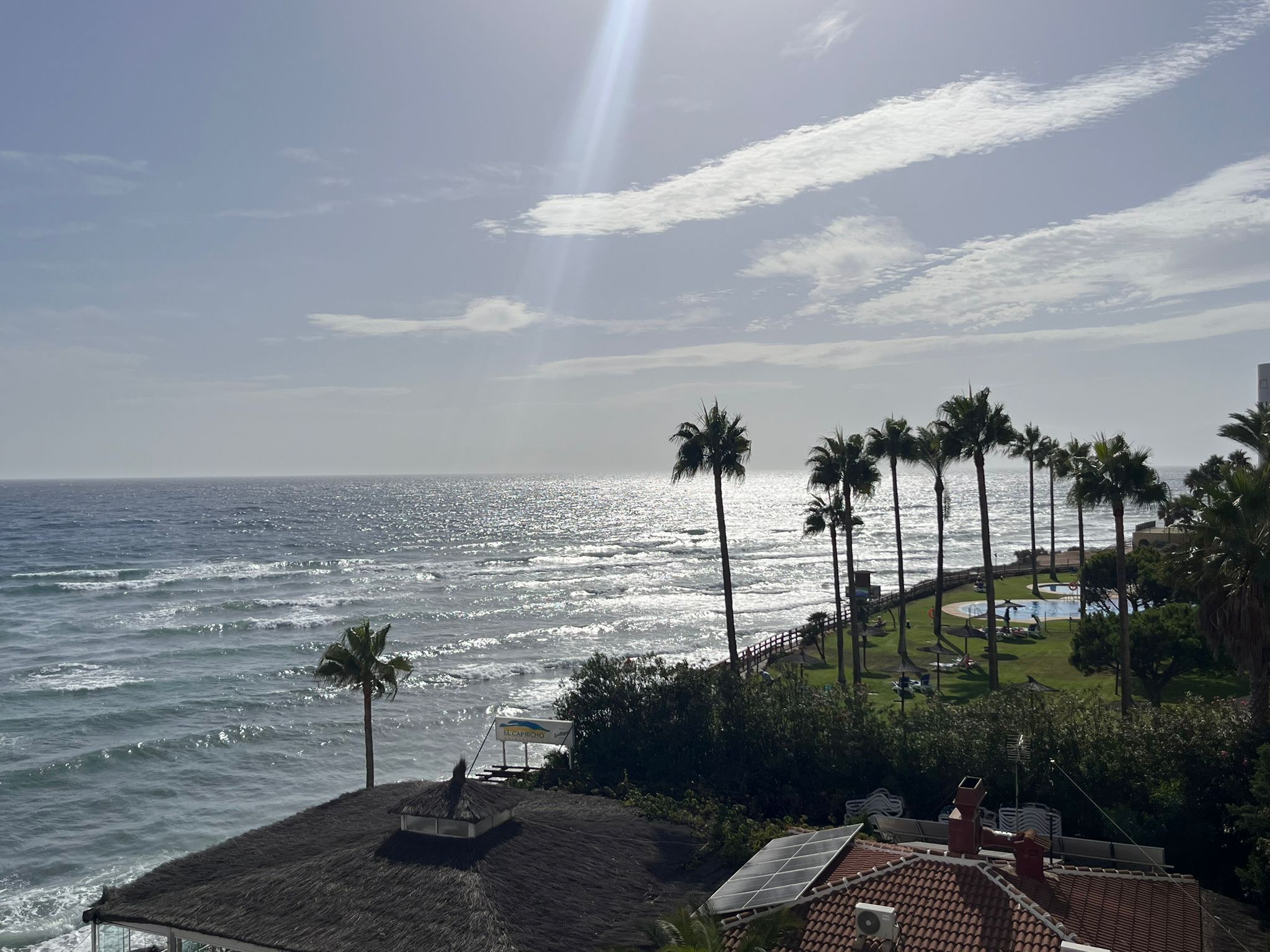A coastal view with a beach, palm trees, and a building with a thatched roof.