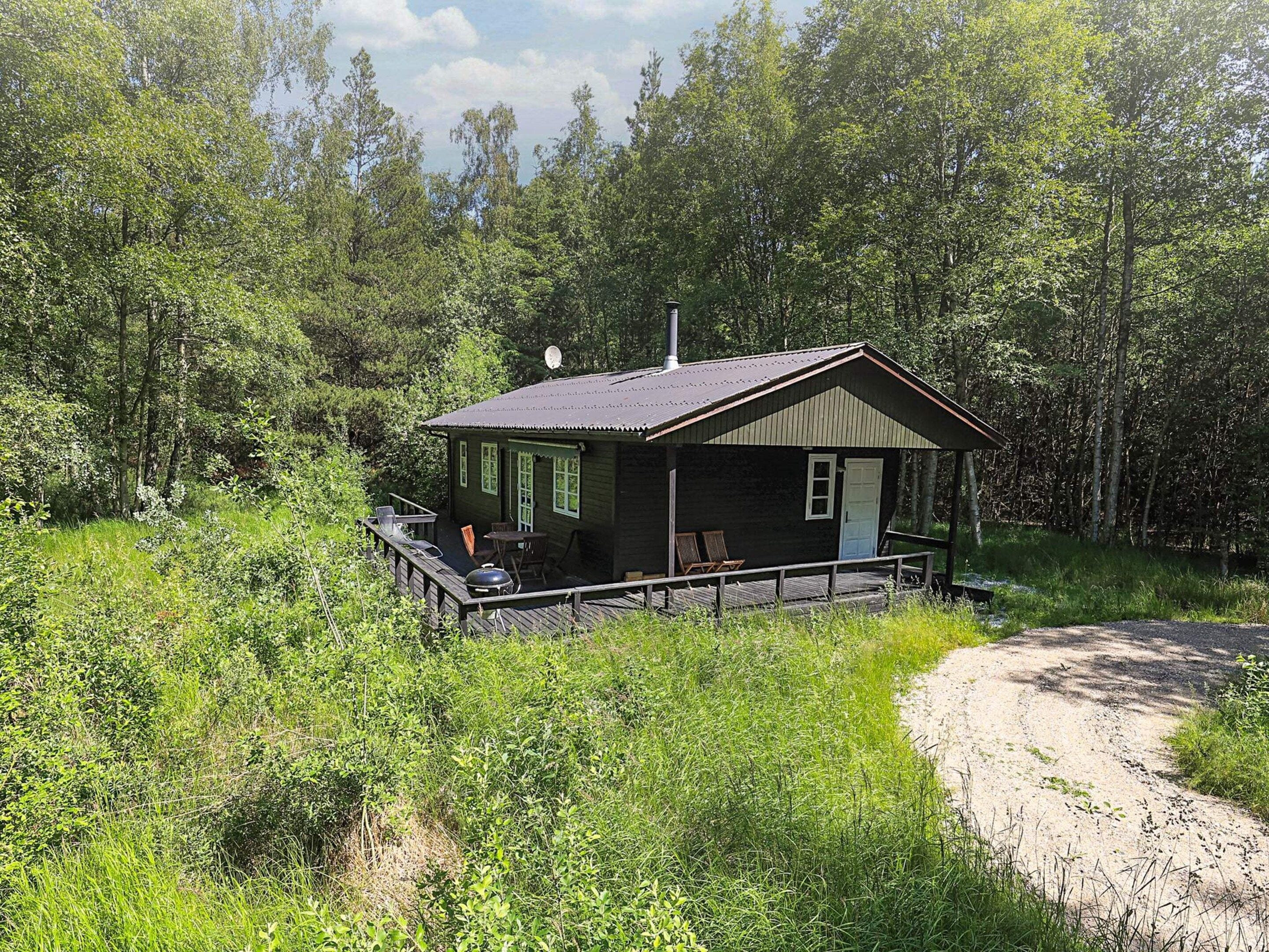 A small cabin with a deck, surrounded by dense forest.