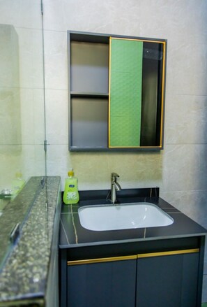 Shower, hair dryer, bidet, towels