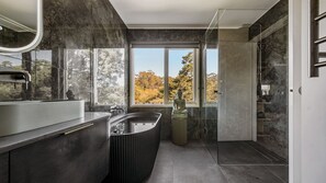 Ducha, bañera de hidromasaje, secador de pelo, toallas