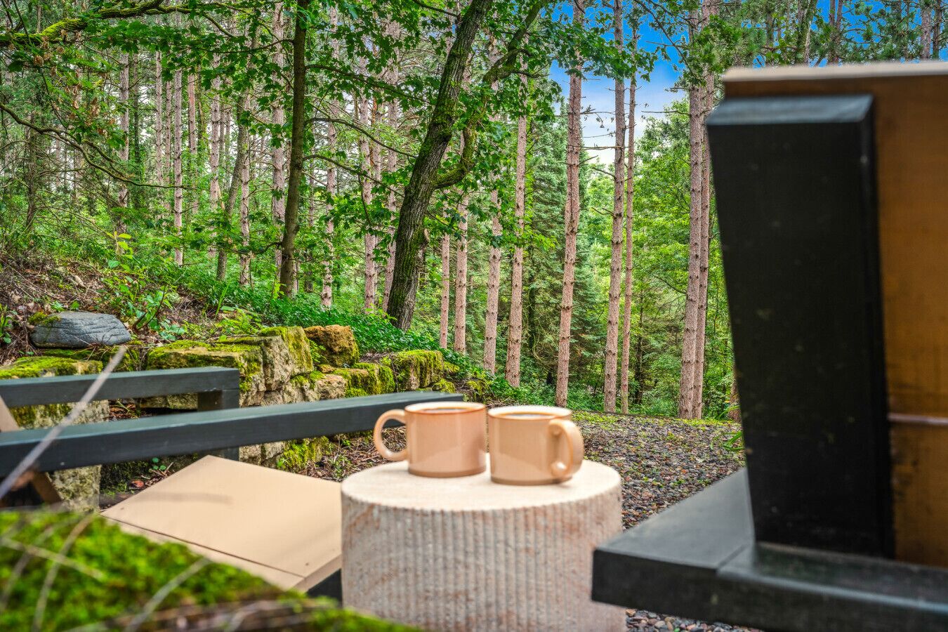 Parco della struttura