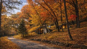 Un terrain de camping avec deux tentes, un sentier de terre et un feuillage d’automne.