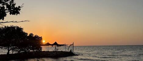 A sunset view over a calm sea with a beach and trees in the foreground.