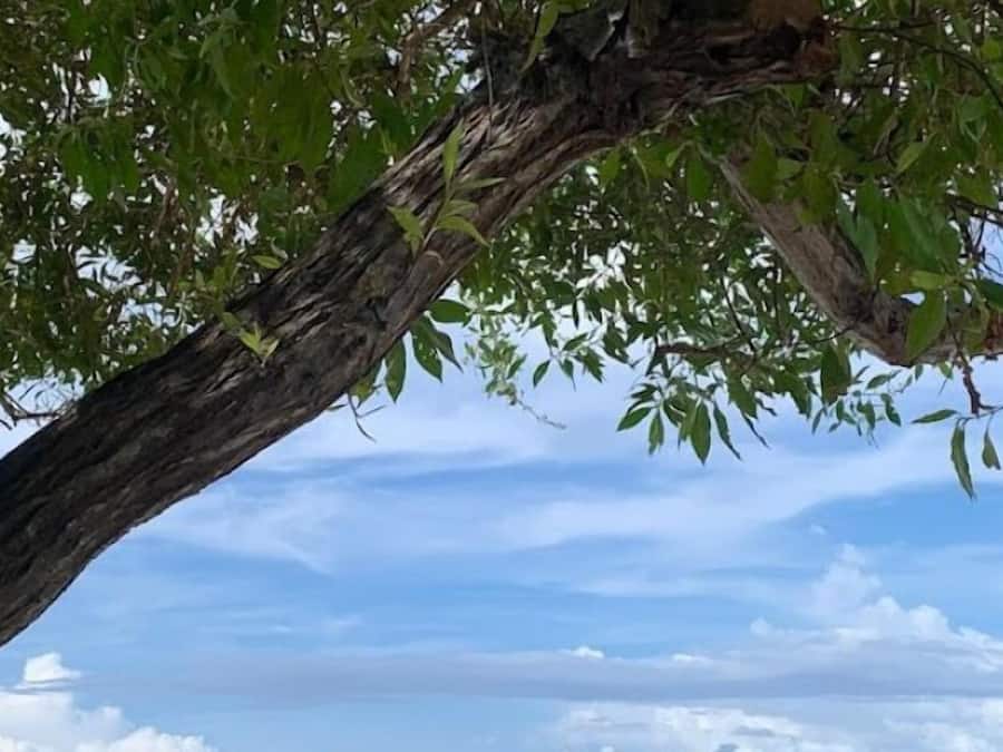 Restaurante para parejas