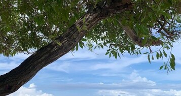 Restaurante romántico