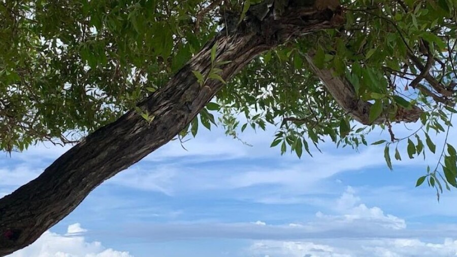 Hotel Colombia del Golfo