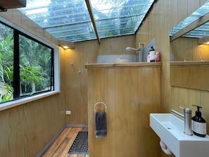 Shower, hair dryer