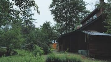 Secluded cabin nestled among lush greenery, offering a peaceful retreat.