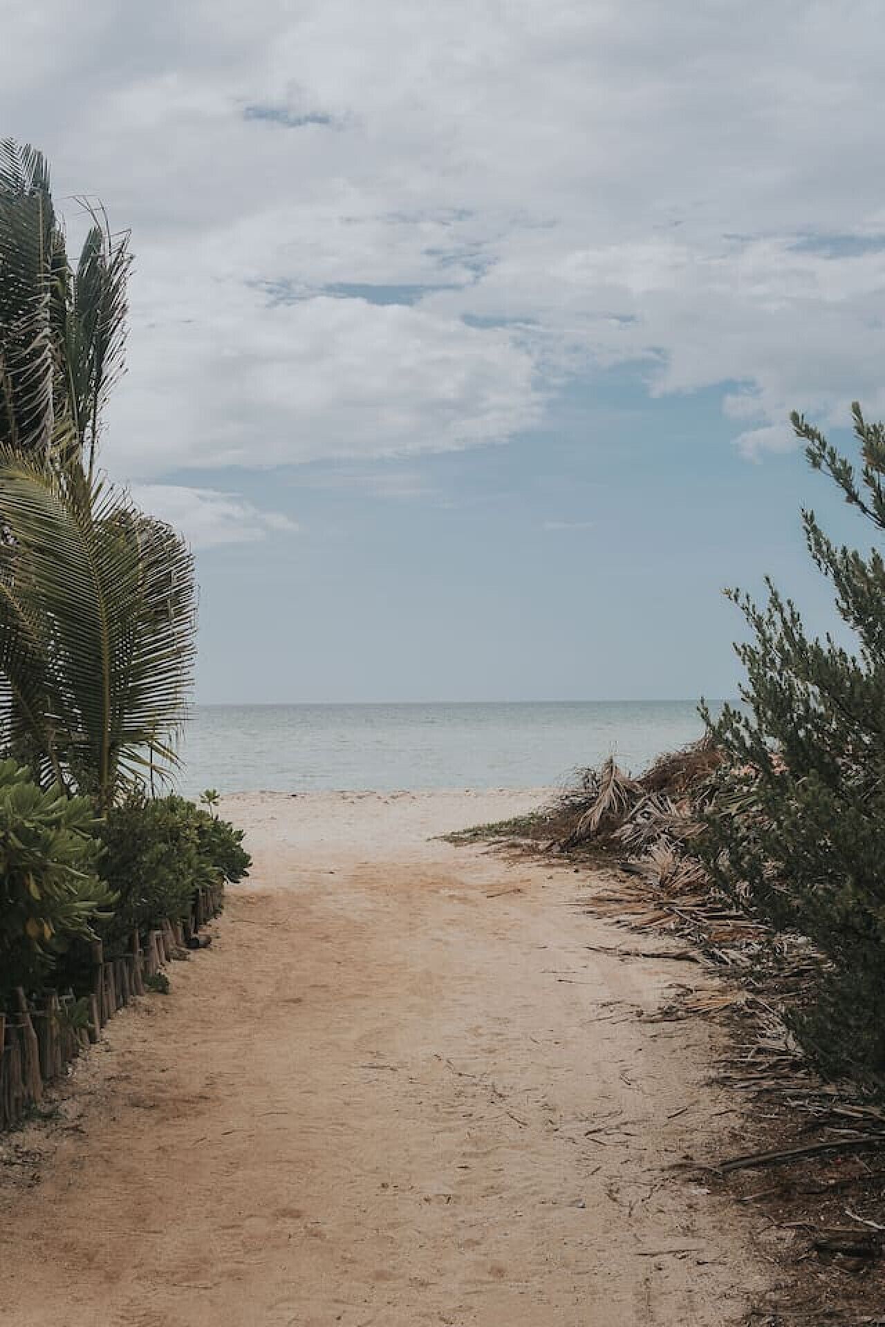 A sandy beach path leading to the ocean, surrounded by tropical vegetation.