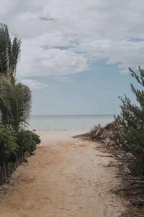 Playa en los alrededores 