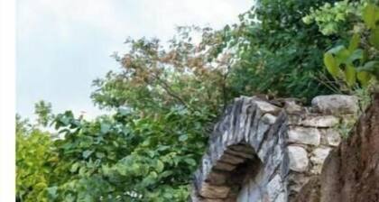 Panoramic View House - Twin Room with Garden View