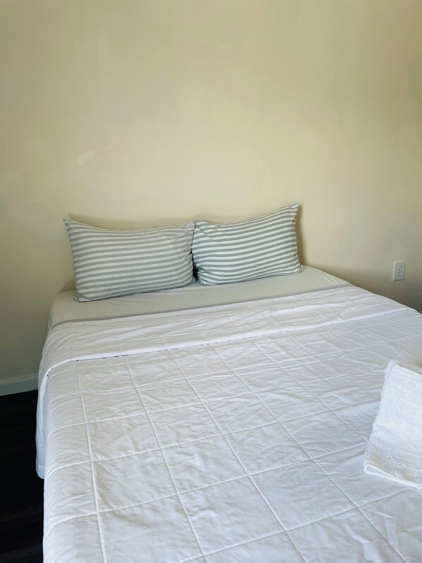 واي فاي مجانًا