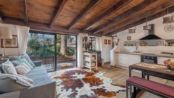 Télévision, cheminée, lecteur de DVD, chaßne hi-fi