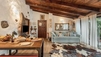 Télévision, cheminée, lecteur de DVD, chaßne hi-fi