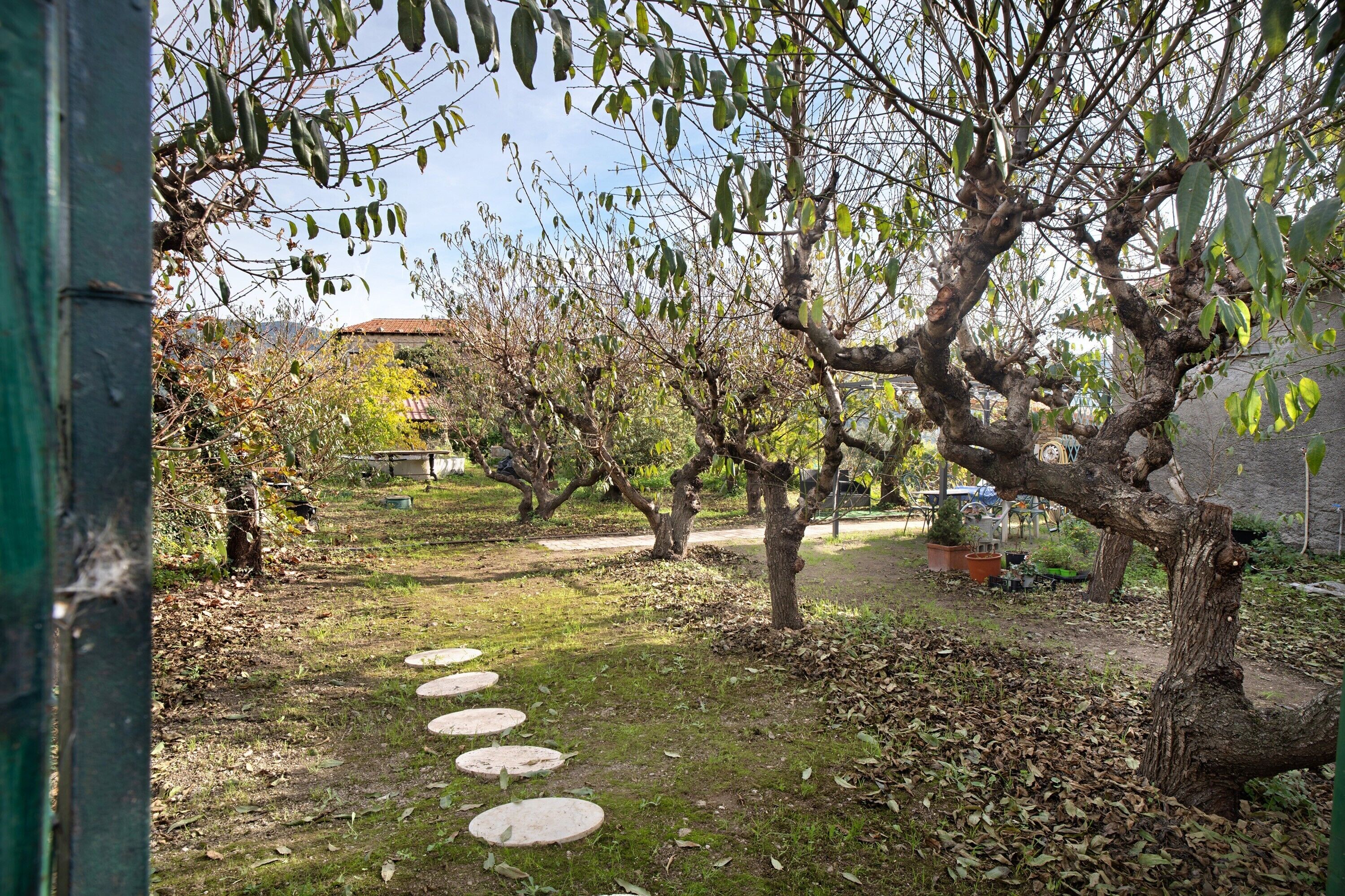 Un huerto con árboles frutales y un camino de piedra.