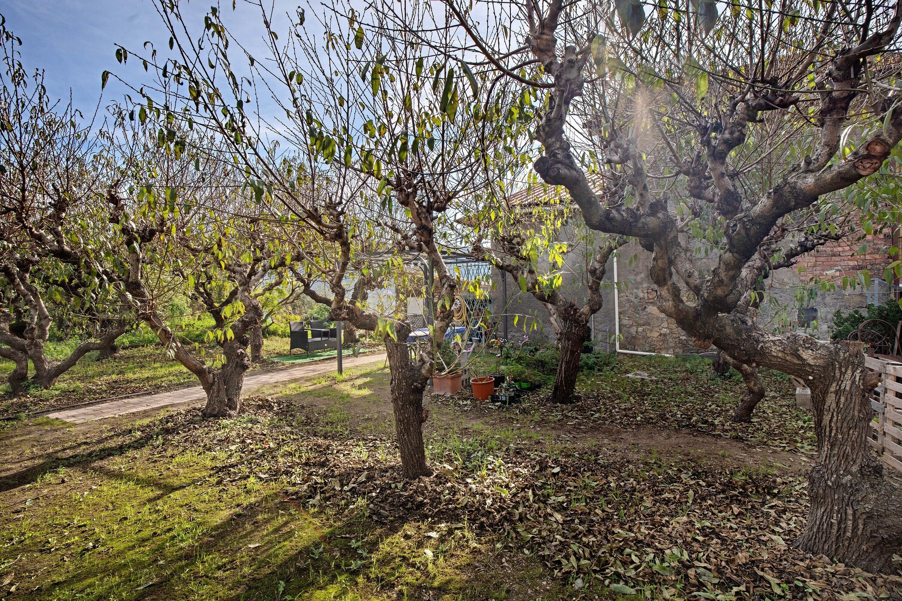 Área da propriedade