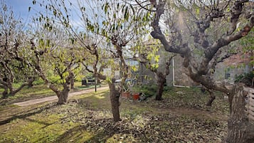 Área da propriedade