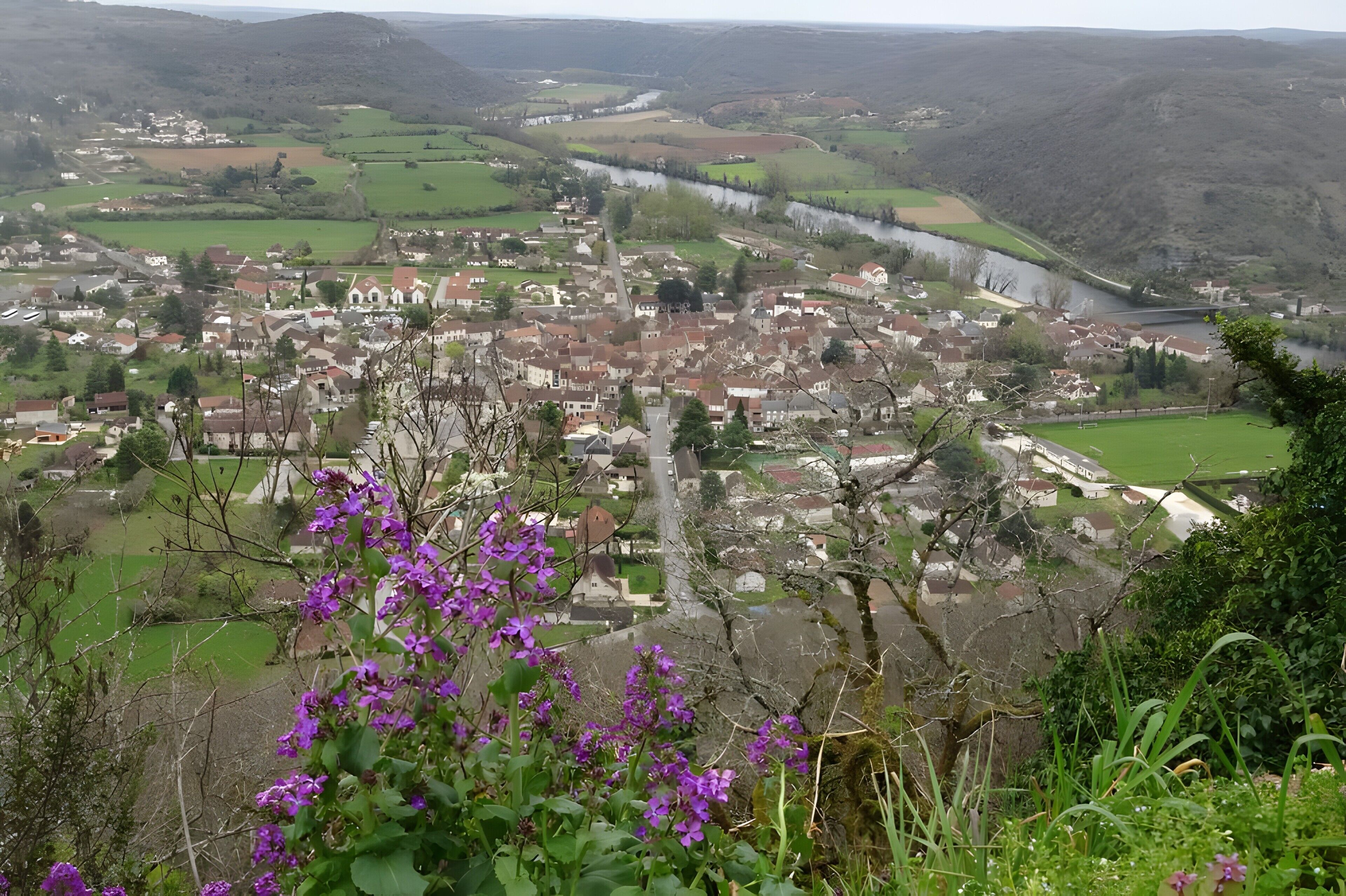 A town with a river, green fields, and purple flowers in the foreground.