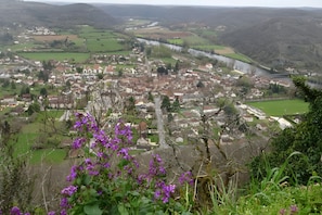 A town with a river, green fields, and purple flowers in the foreground.