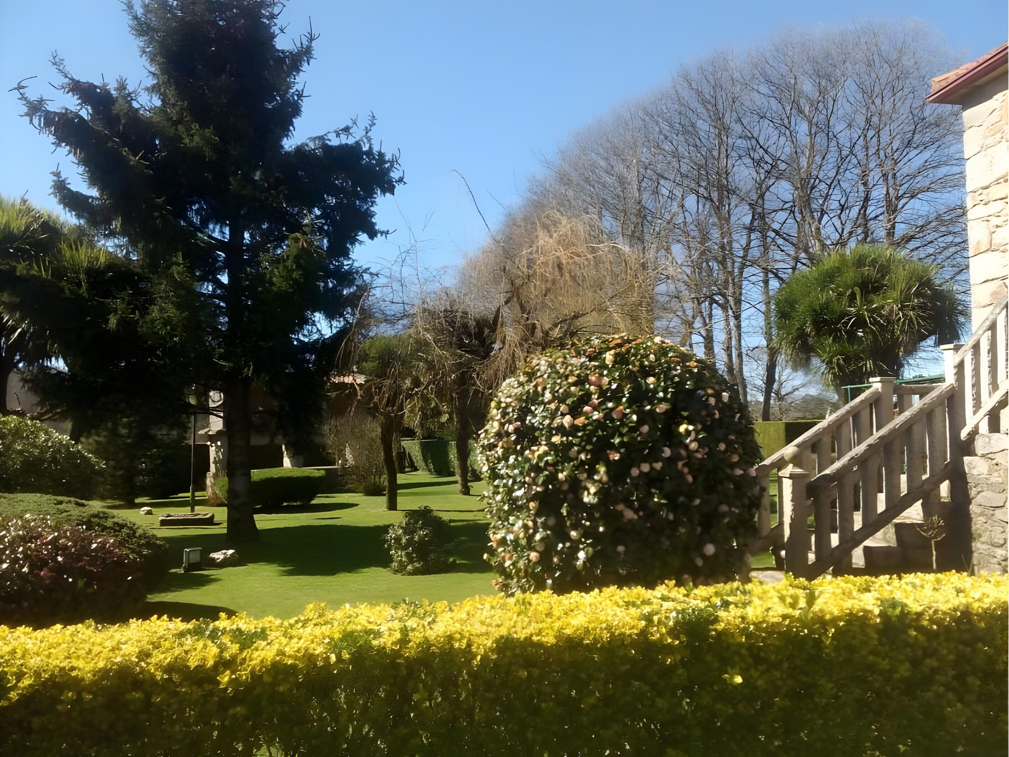 A garden with a variety of trees, a well-maintained lawn, and a stone staircase.