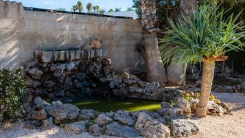 Terrein van de accommodatie