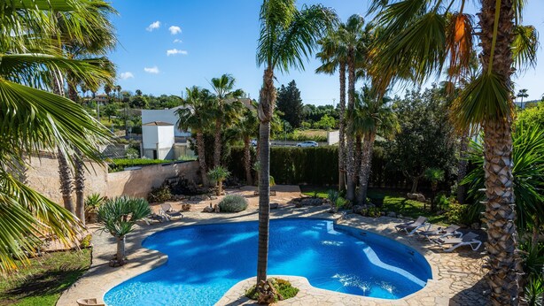 Una piscina con solárium de piedra, rodeada de palmeras y un césped cuidado.