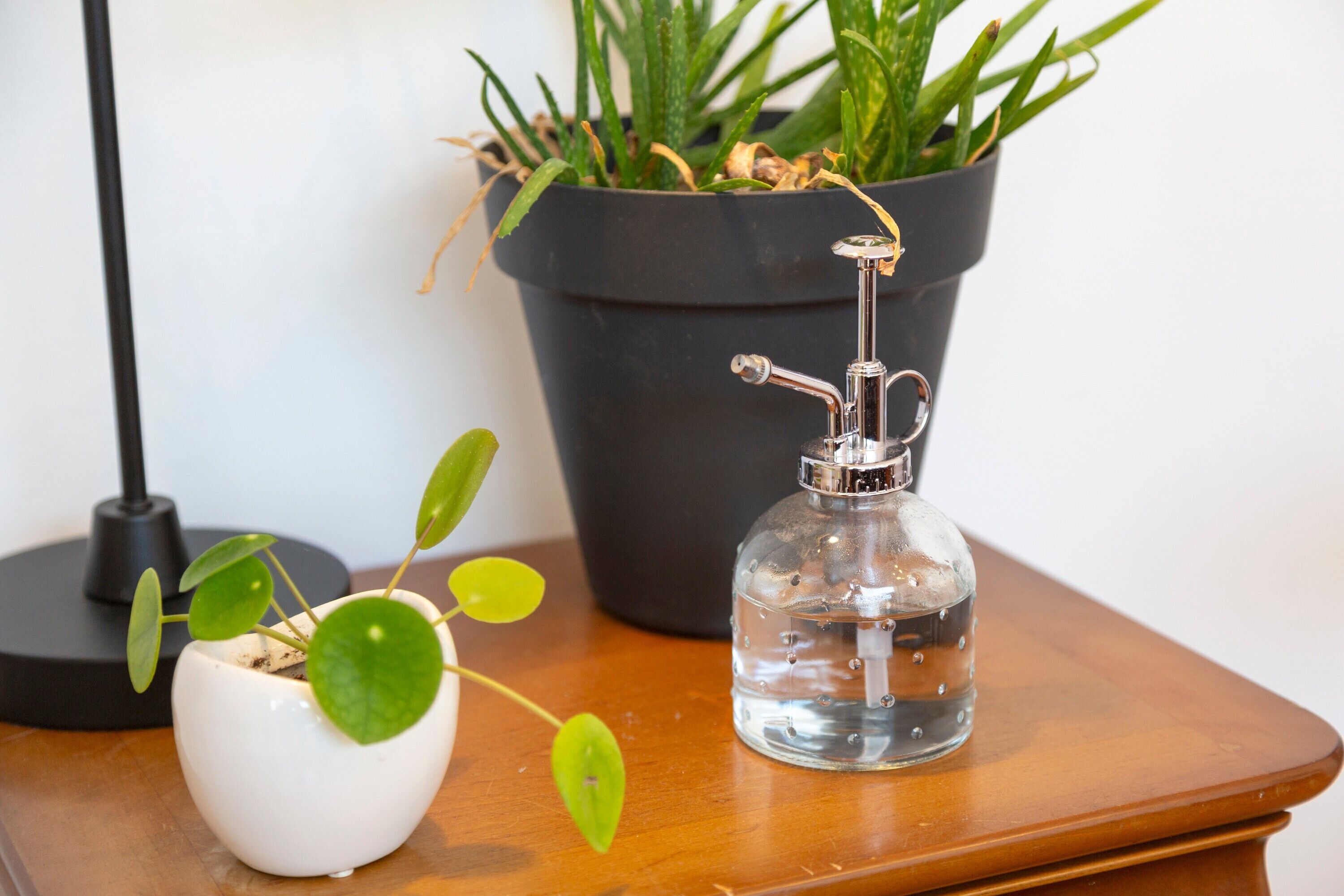 A small potted plant, a clear glass bottle with water, and a black pot on a wooden surface.