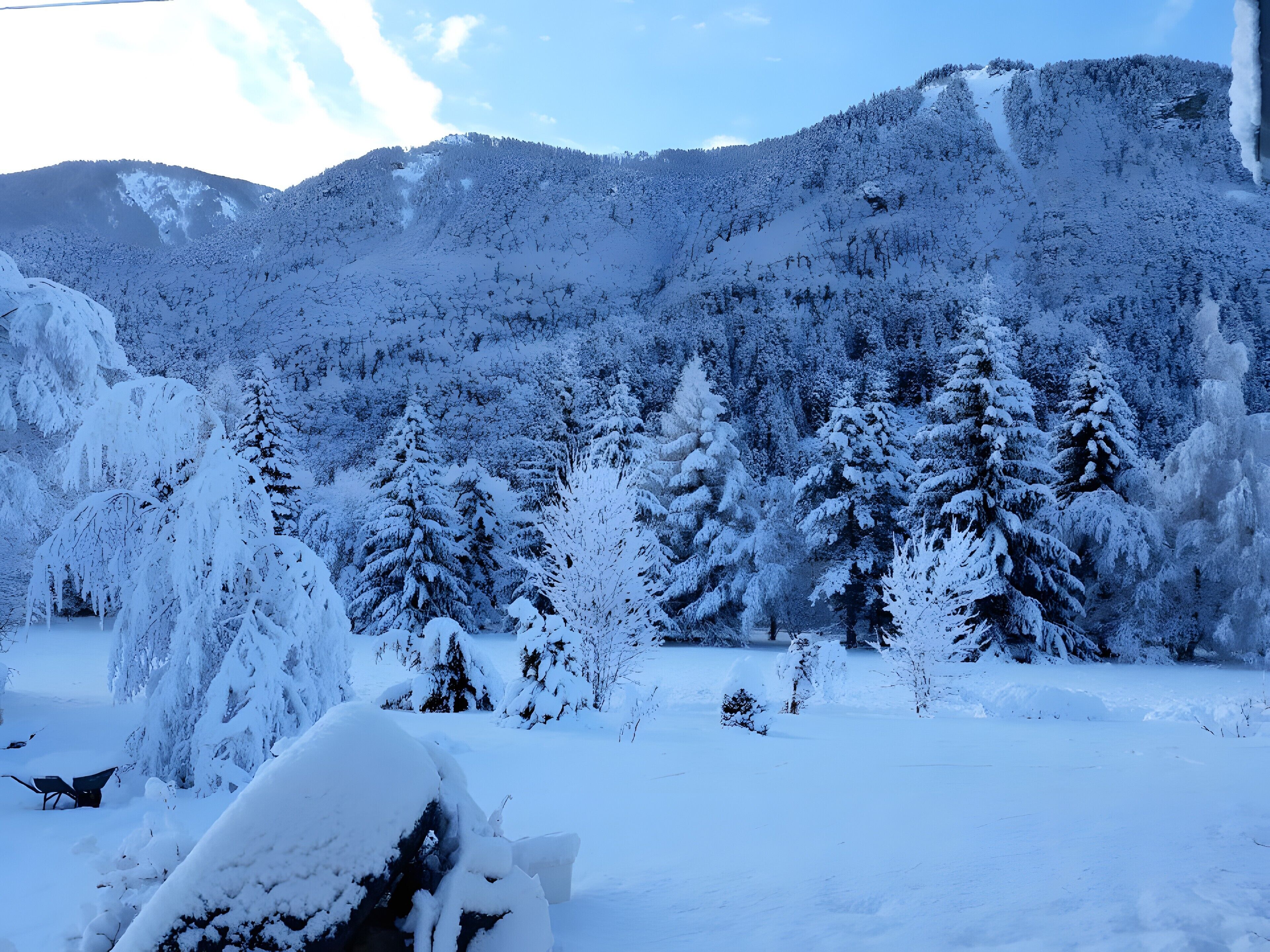 Un paysage enneigé avec des arbres et des montagnes.