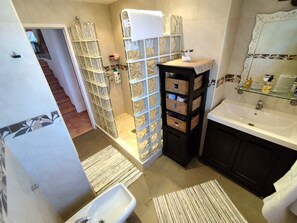 Shower, hair dryer, bidet, towels
