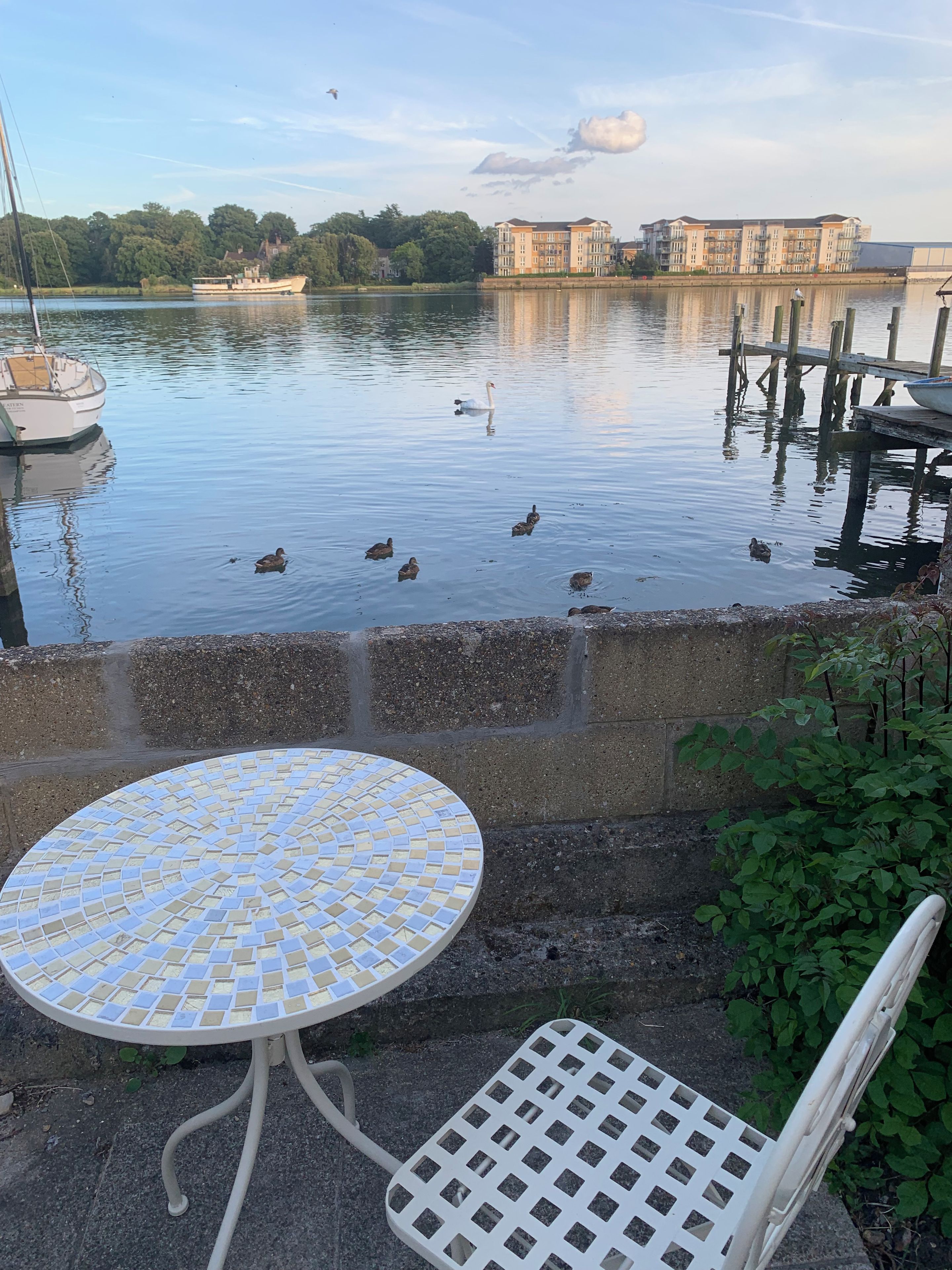 A calm waterfront with a boat docked, a swan, and ducks swimming. There is a round table and a chair in the foreground.
