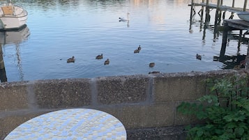 A calm waterfront with a boat docked, a swan, and ducks swimming. There is a round table and a chair in the foreground.
