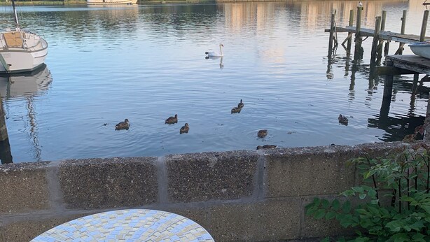 A calm lake with ducks and a swan, a boat docked on the left, and a building in the background. - Perfect 2-bedroom house, Albert cottage with WiFi in charming Southampton (Southampton)