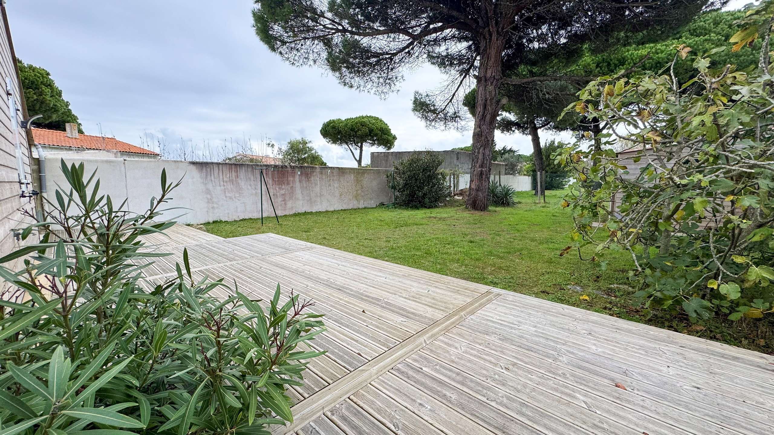 A wooden deck with a grassy backyard, a large tree, and a hedge.
