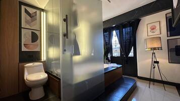 Shower, towels, toilet paper