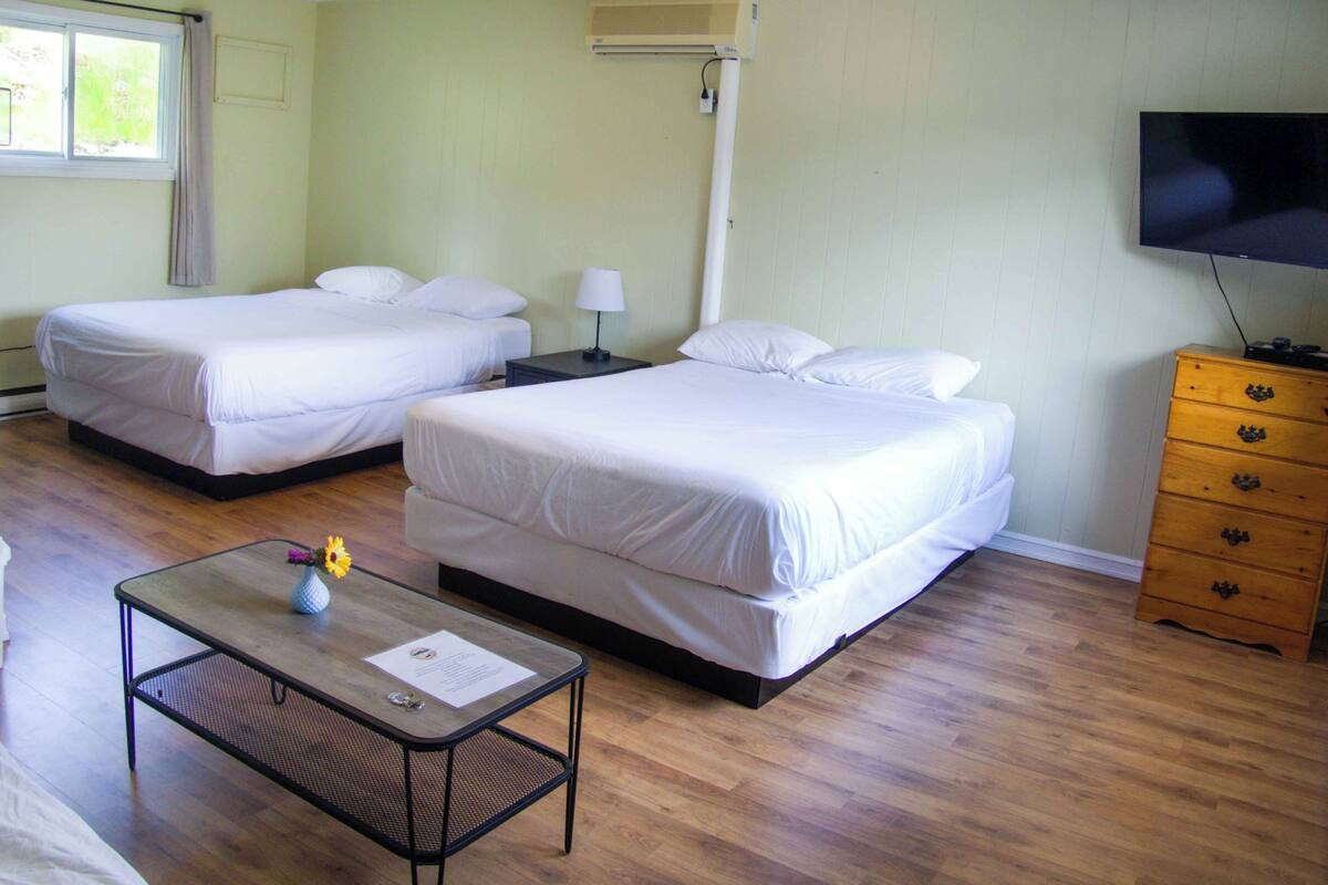 Ein Hotelzimmer mit zwei Einzelbetten, einem Holzkapständer, einem Fernseher und einem kleinen Tisch mit einer Vase.